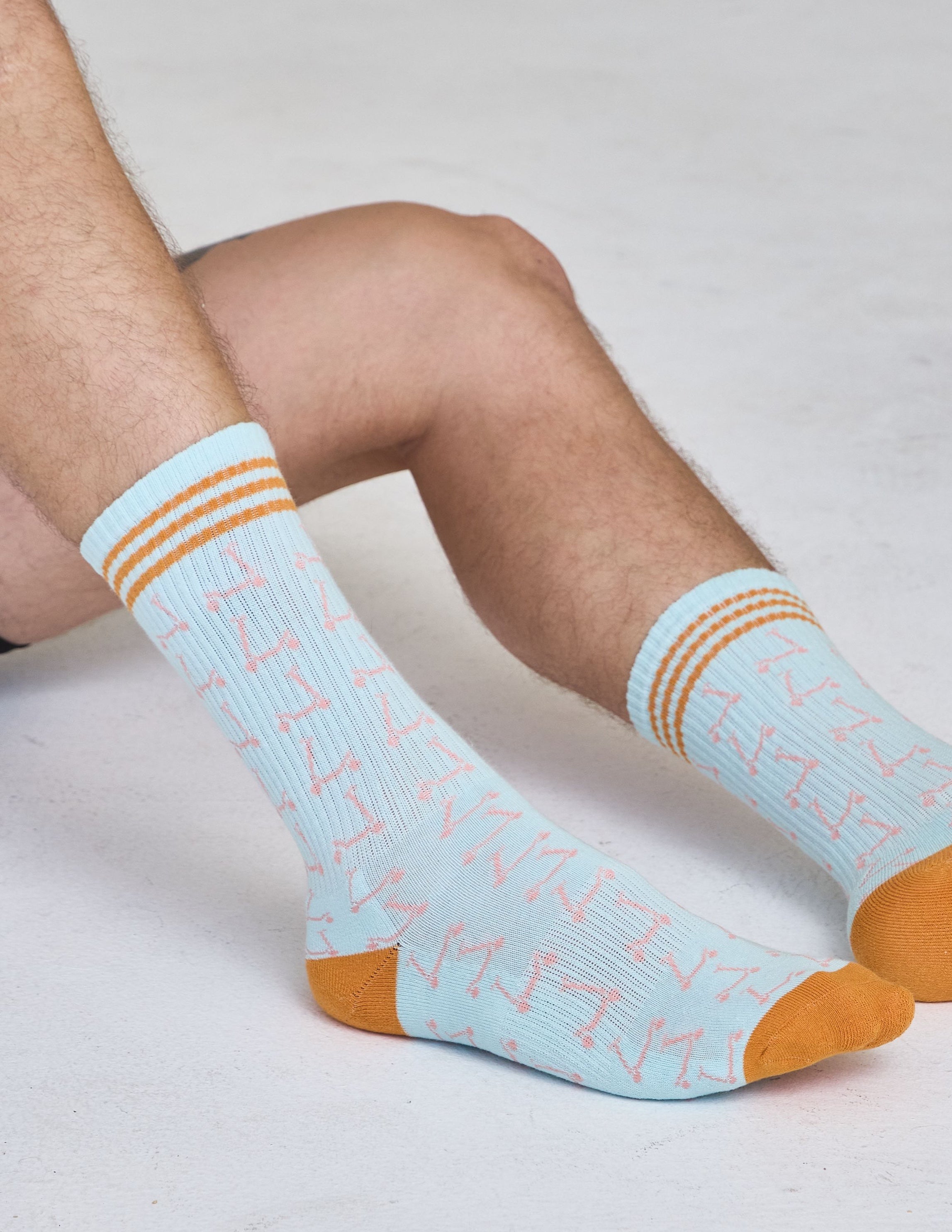 The Men’s Scooter Sock