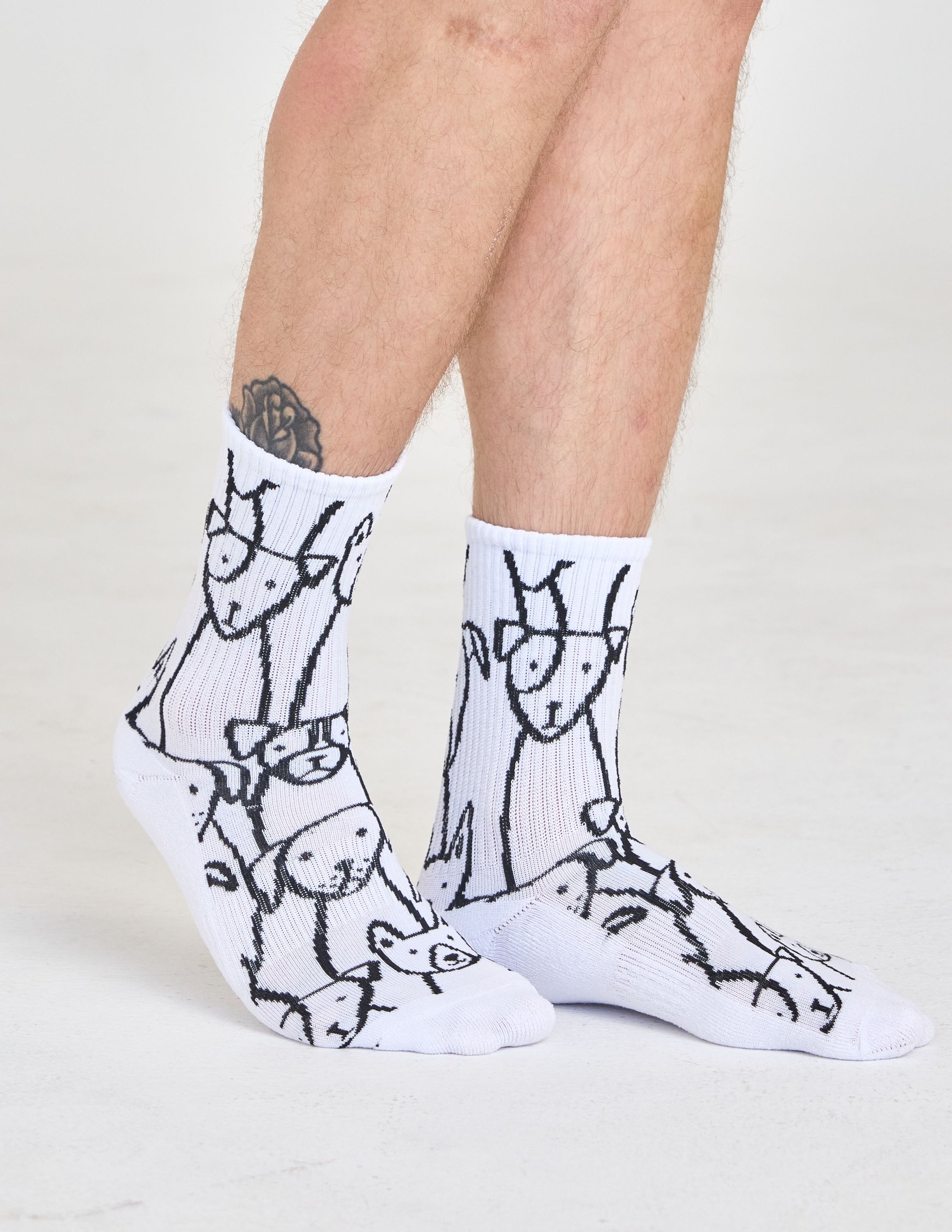 Everyday Dog Sock